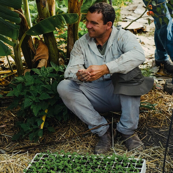 Agroforestería